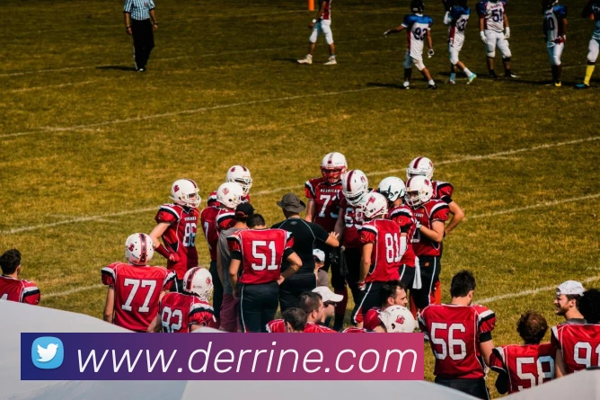 企业概况